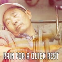 Rain For A Quick Rest