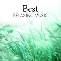 Best Relaxing Music - Flute and Piano Music for Yoga, Healing Massage Music, Reiki Therapy, Calm, Health, Spa, Zen Music, Positive Thinking