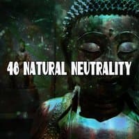 48 Natural Neutrality