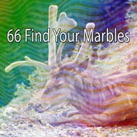 66 Find Your Marbles