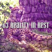 63 Reality In Rest