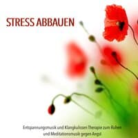 Stress Abbauen - Entspannungsmusik und Klangkulissen Therapie zum Ruhen und Meditationsmusik gegen Angst