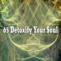 65 Detoxify Your Soul