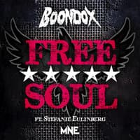 Free Soul