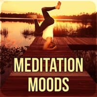 Meditation Moods - Relaxing Sounds, Calm Music, Reduce Stress, Body and Mind, Yoga Moods, Calm Yoga, Sounds of Nature, Ambient Music, Zen