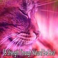 58 Strength Through Natural Bed Rest