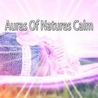 Auras Of Natures Calm