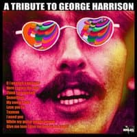 A Tribute To George Harrison