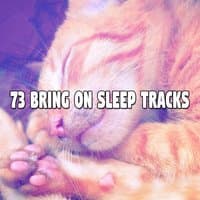 73 Bring On Sleep Tracks