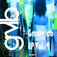 The Groovelab EP Vol. 9