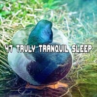 47 Truly Tranquil Sleep