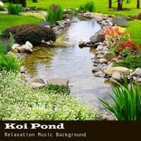 Koi Pond Relaxation Music Background 4 Health and Wellbeing