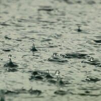 14 Sonidos De Lluvia En Bucle: Un Estudio De Belleza