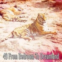 49 From Bedroom To Dreamland