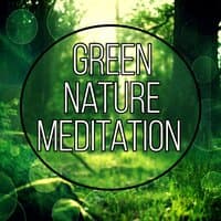 Green Nature Meditation - Yoga Poses, Spiritual Healing, Relaxing Music, Massage Therapy, Chill Out Music, Serenity Spa