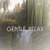 Gentle Relax – Peaceful Thoughts with Calm Sounds for Yoga, Massage, Pleasent Mood, Nature Stress Relief