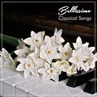 19 Bellissimo Classical Songs