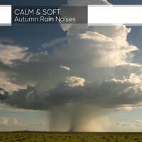 Calm & Soft Autumn Rain Noises