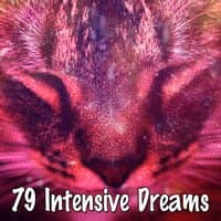 79 Intensive Dreams