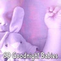 69 Goodnight Babies