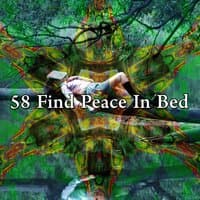 58 Find Peace in Bed