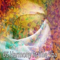 65 Harmony at the Spa