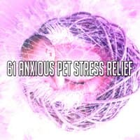 61 Anxious Pet Stress Relief