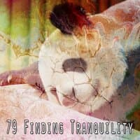 79 Finding Tranquility