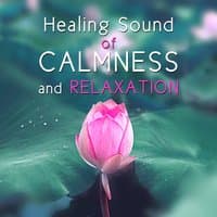 Healing Sound of Calmness and Relaxation: Zen Garden, New Age Music, Deep Sleep, Natural Tracks, Chakra Balancing, Yin Yang, Welness, Meditation, Prayer