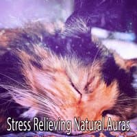 Stress Relieving Natural Auras