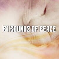 61 Sounds Of Peace