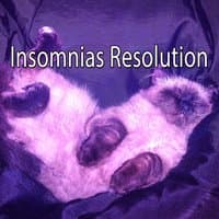 Insomnias Resolution