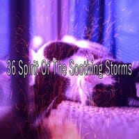 36 Spirit of the Soothing Storms