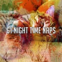 61 Night Time Naps