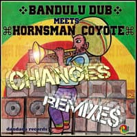 Changes Remixes