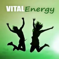 Vital Energy - Meditation, Sounds of Nature, Spa, Massage Sounds, Ambience Music for Inner Power, Just Relax