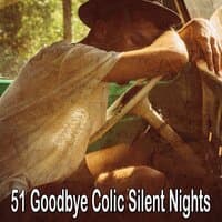 51 Goodbye Colic Silent Nights