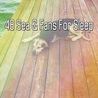 48 Sea & Fans For Sleep