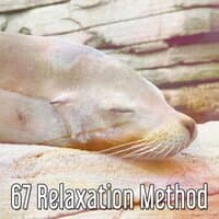 67 Relaxation Method