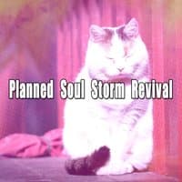 Planned Soul Storm Revival