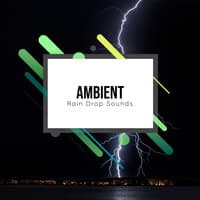 Ambient Rain Drop Sounds