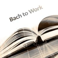 Bach to Work – Songs for Study, Brain Stimulation, Easier Exam