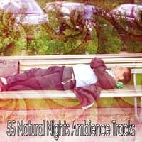 55 Natural Nights Ambience Tracks