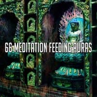 66 Meditation Feeding Auras