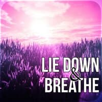 Lie Down & Breathe - Soothing Flute Music for Massage, Relaxation & Leisure, Reiki & SPA