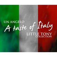 Un angelo: a taste of italy