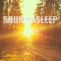 Sound Asleep: Empty Forest Path Daytime Ambience