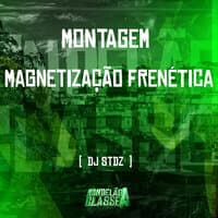 Montagem - Magnetização Frenética