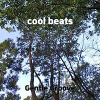 cool beats