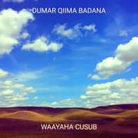 Dumar Qiima Badana